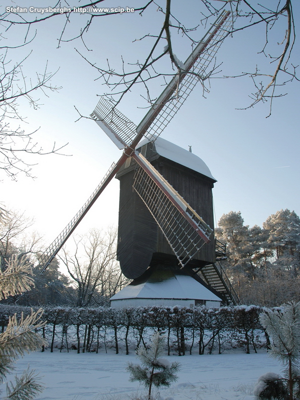 Lommel during winter time A few photos from different spots in Lommel during the snow white but ice cold second week of 2009. Stefan Cruysberghs